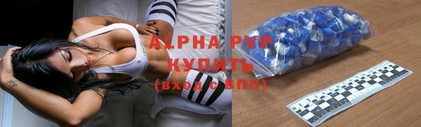 твердый Богданович