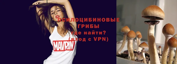 Альфа ПВП Белокуриха