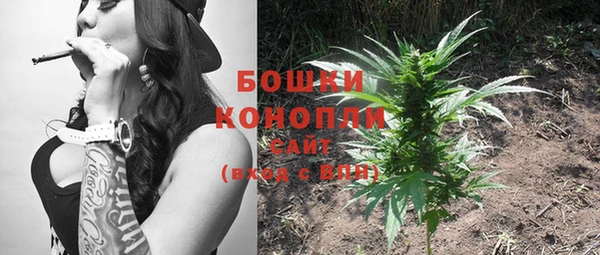 Альфа ПВП Белокуриха