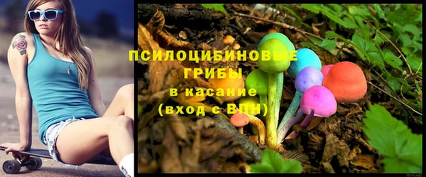 твердый Богданович